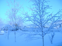 Зима в Согоме